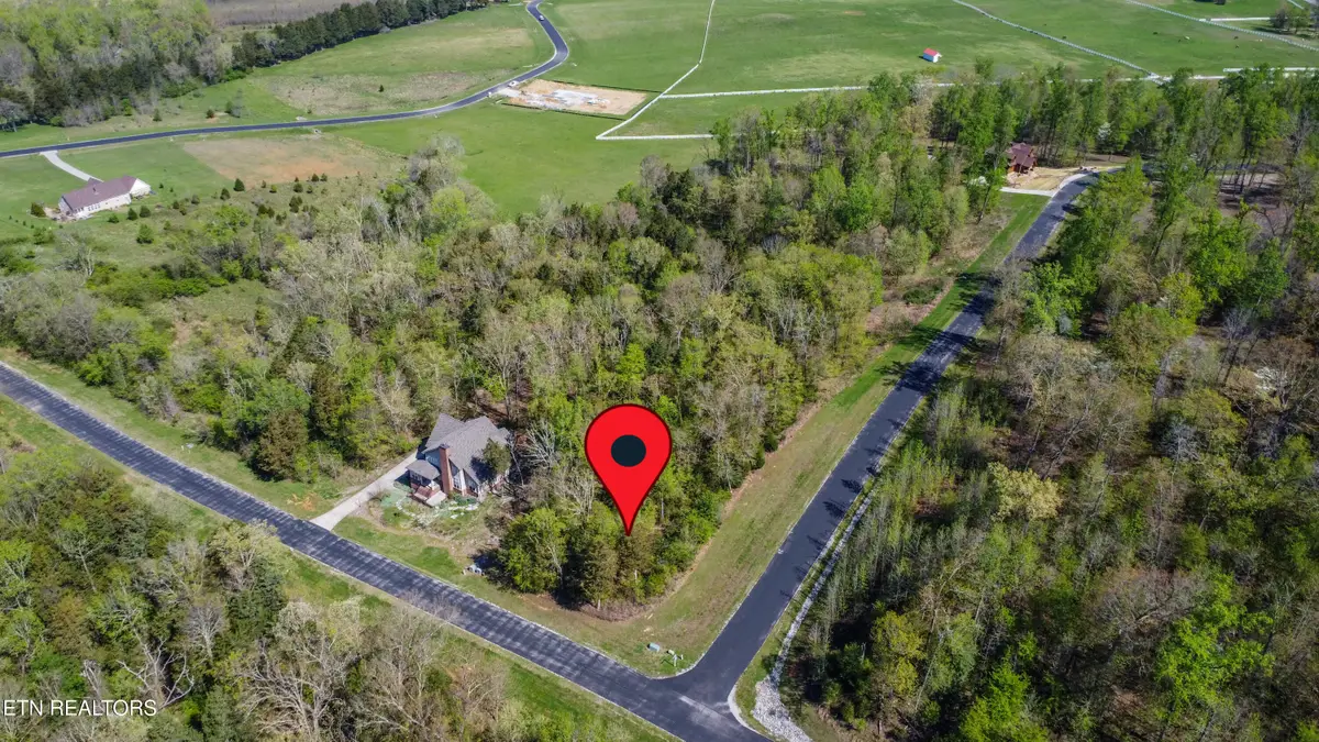 359 Walking Horse Tr, Rockwood, TN 37854 - #1