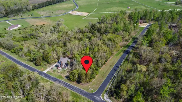 359 Walking Horse Tr, Rockwood, TN 37854