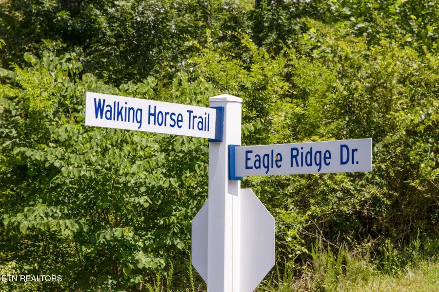359 Walking Horse Tr, Rockwood, TN 37854 - #3