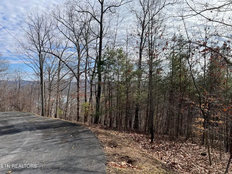 1412 Echota Lane, Mooresburg, TN 37811 - #2