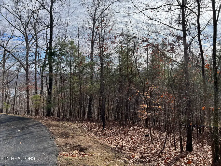 1412 Echota Lane, Mooresburg, TN 37811 - #3