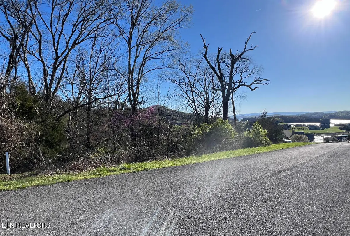 lot 356R Larayne Hollow Rd, Sharps Chapel, TN 37866 - #1