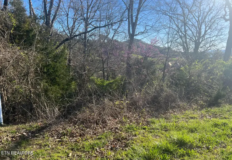lot 356R Larayne Hollow Rd, Sharps Chapel, TN 37866 - #3