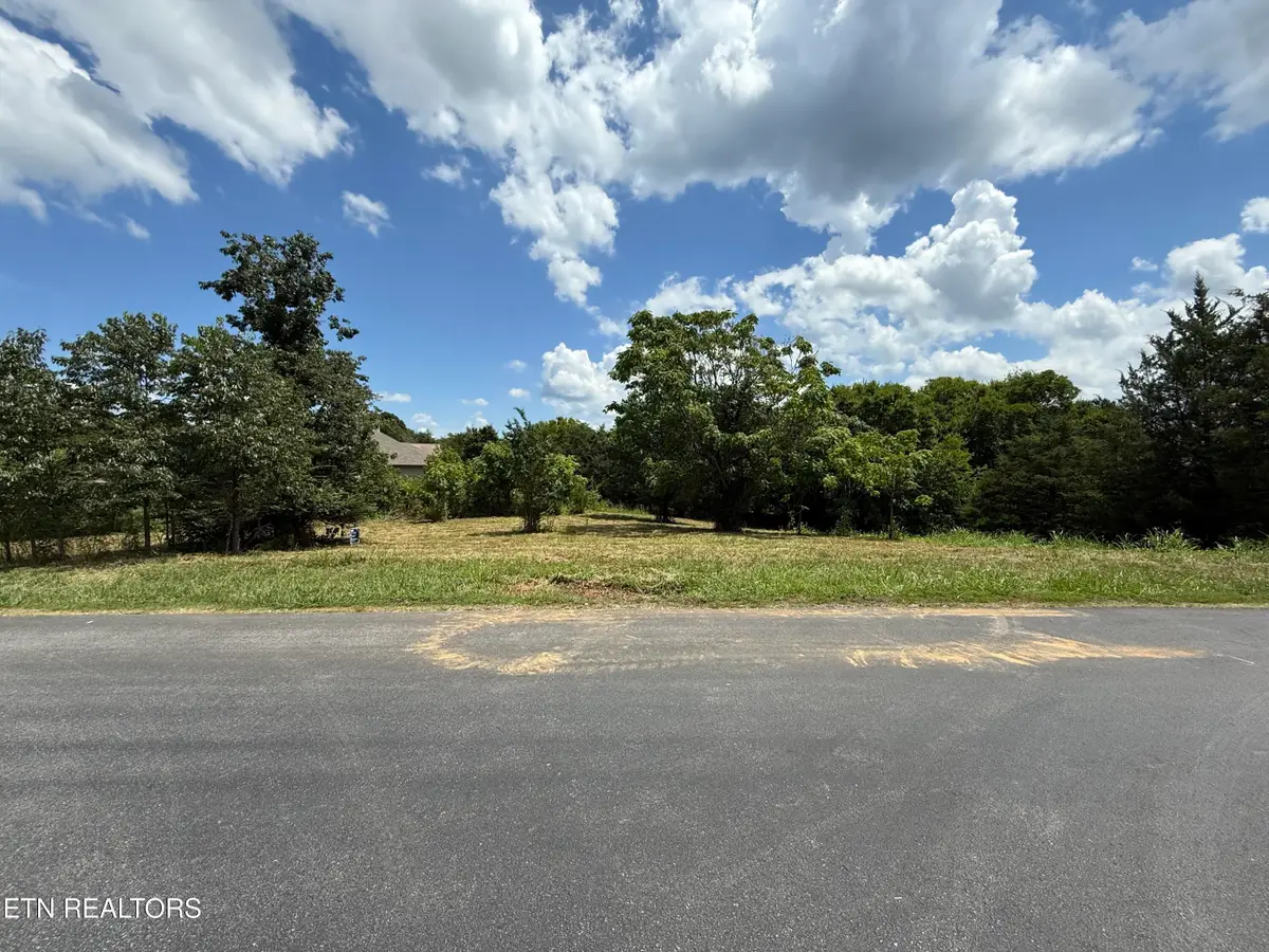 135 Itawa Tr, Vonore, TN 37885 - #1