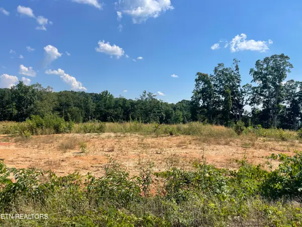 Lot 20 Laura Boling Loop Rd, Strawberry Plains, TN 37871