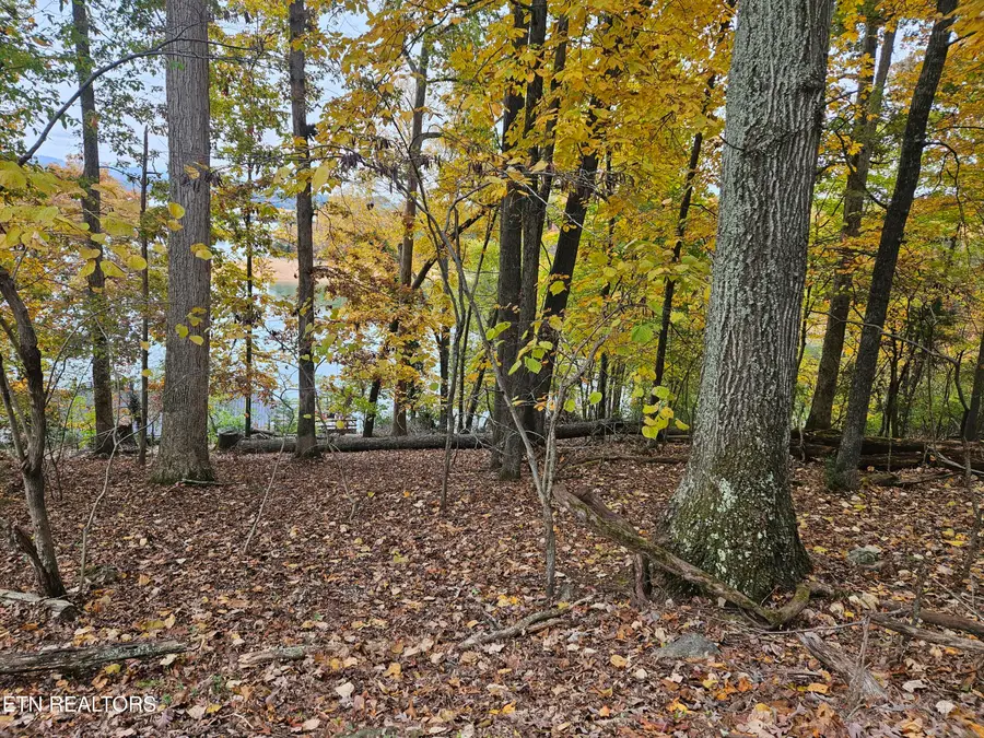 2061 Lakewood Drive, Morristown, TN 37814 - #3