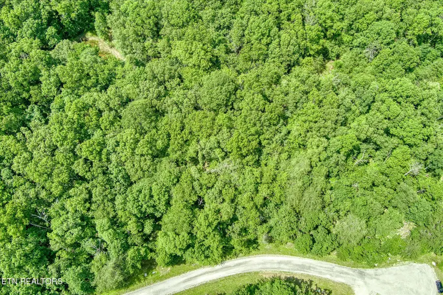 0 Hemlock Lane, Spencer, TN 38585 - #2