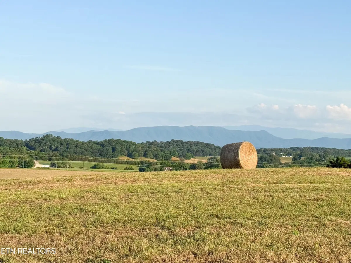 Lot 13 Summerset Dr, Talbott, TN 37877 - #1