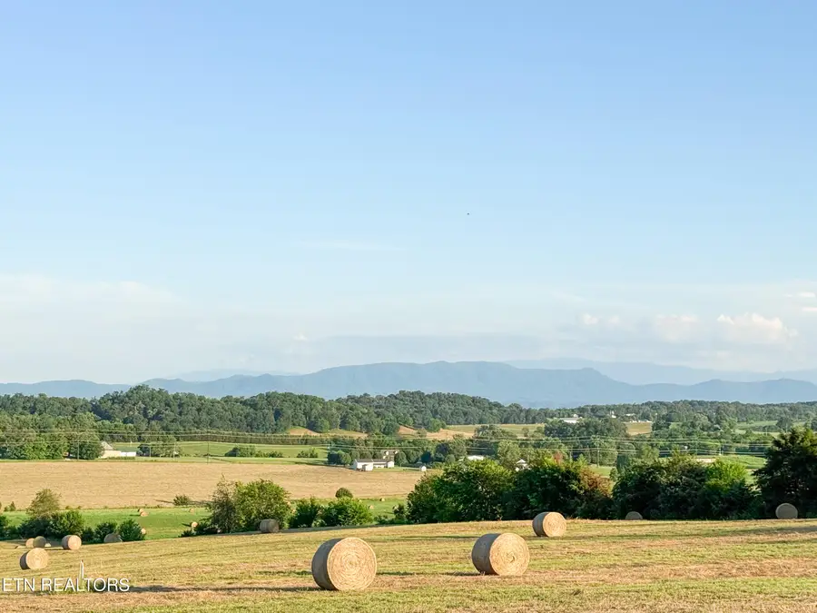 Lot 13 Summerset Dr, Talbott, TN 37877 - #2