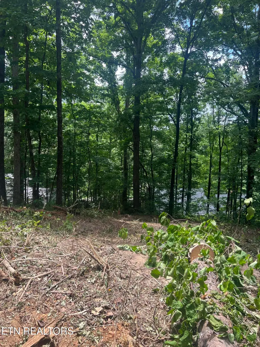 6018 Nottingham Rd, Knoxville, TN 37918 - #3