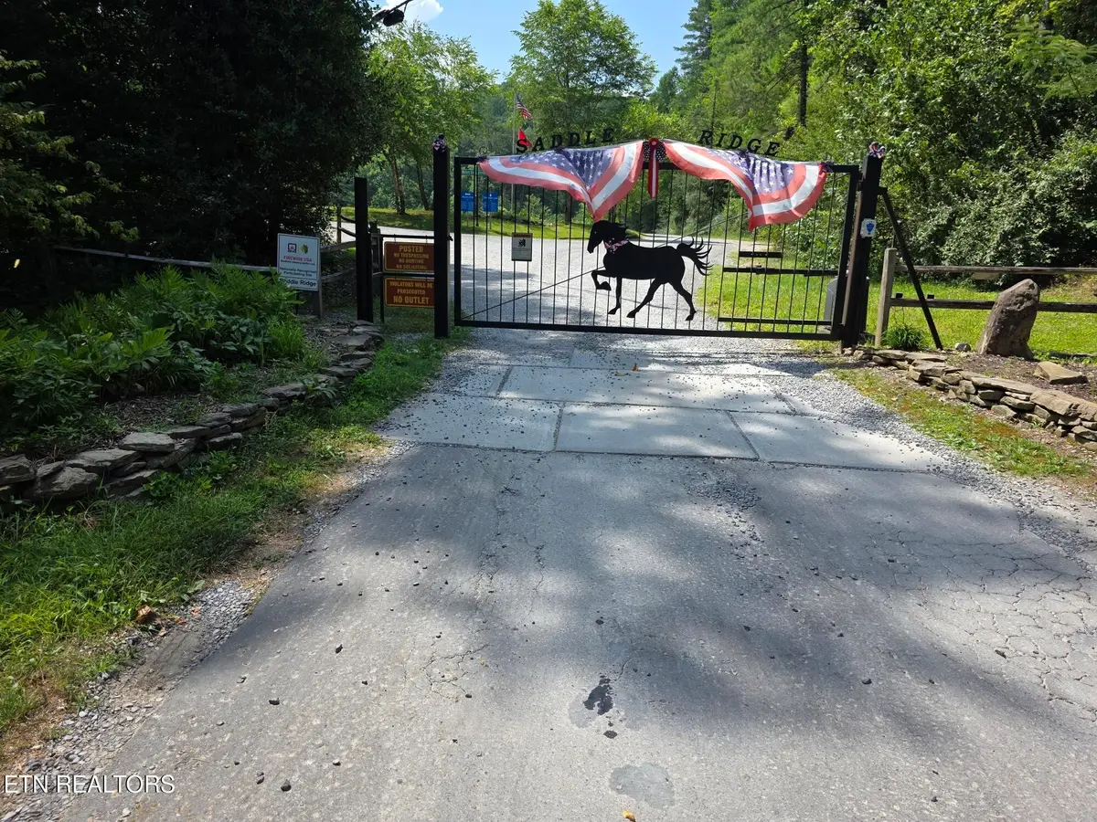 Waters End Rd, Walland, TN 37886 - #1