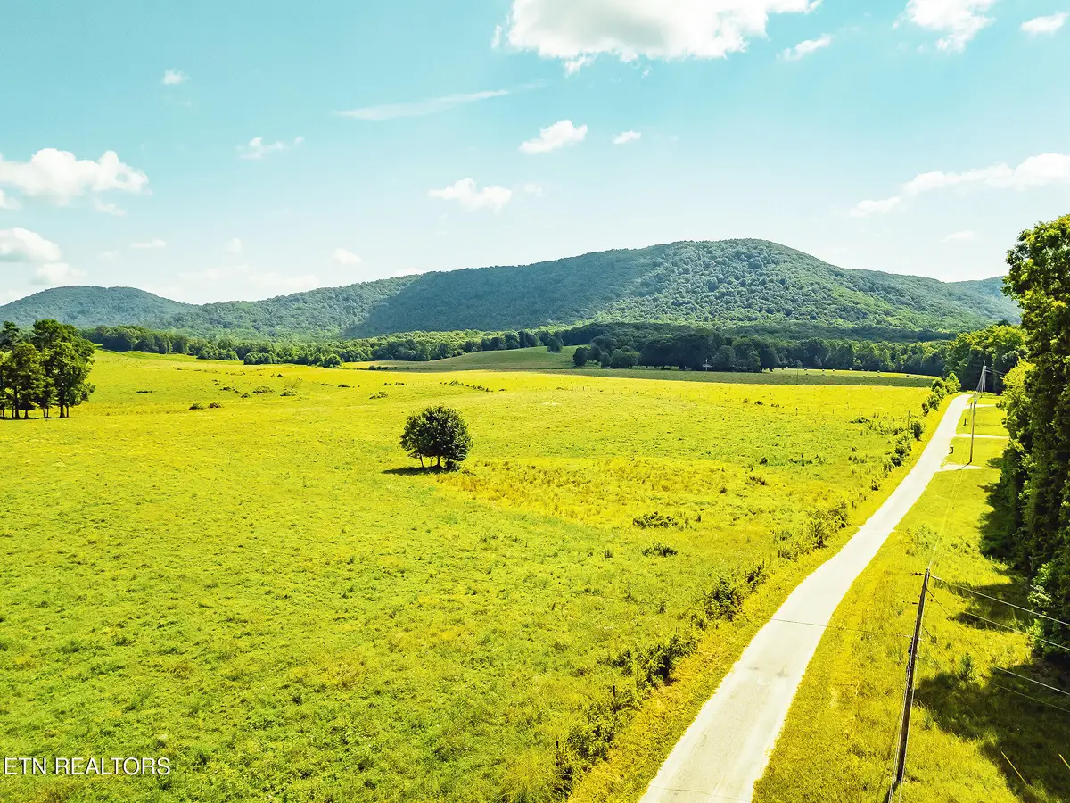 White Oak Circle, Sunbright, TN 37872 - #1