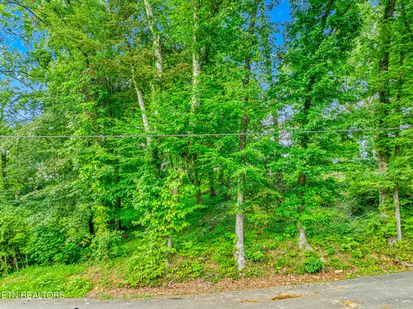 278 Harvest St, Newport, TN 37821