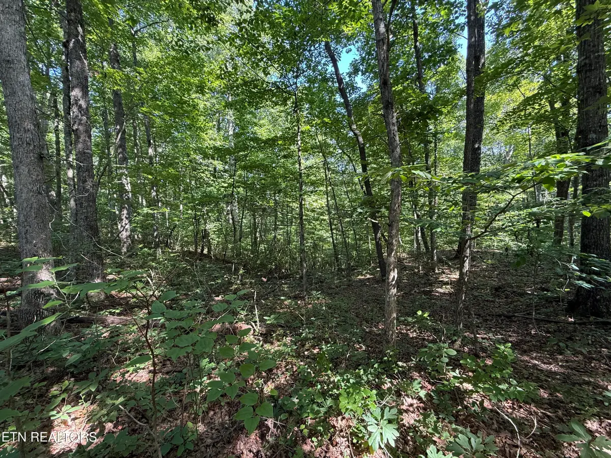 Lot 2 E Cove Rd, Monterey, TN 38574 - #1