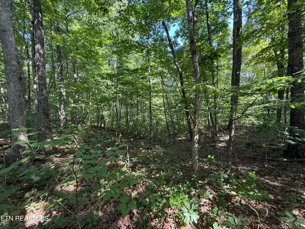 Lot 2 E Cove Rd, Monterey, TN 38574