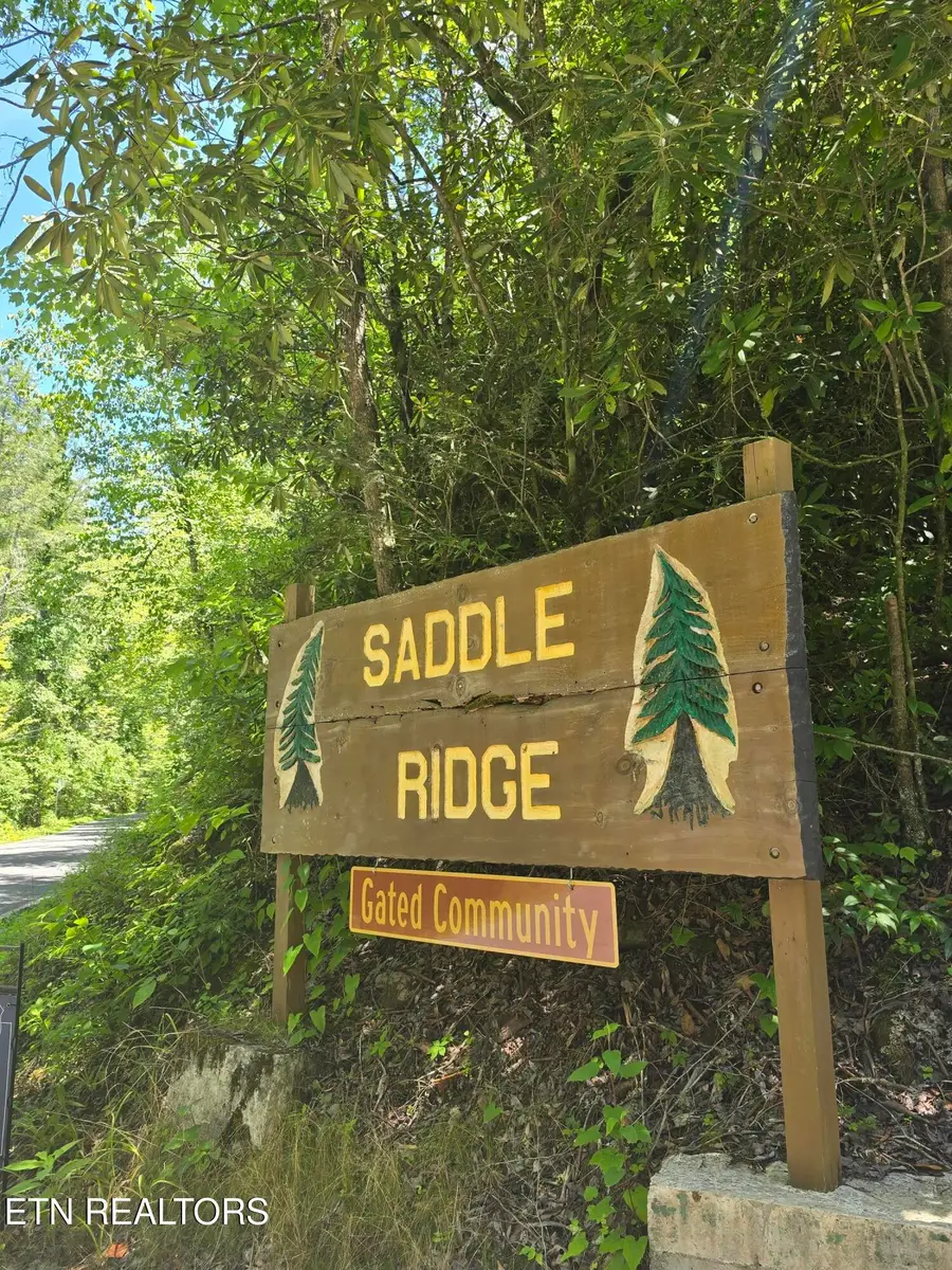 Overlook View Rd, Walland, TN 37886 - #2