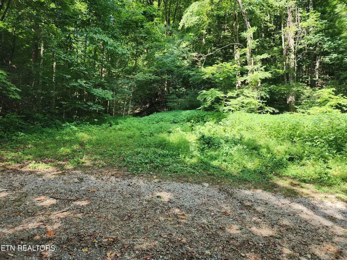 1986 Carrs Creek Rd, Townsend, TN 37882 - #1