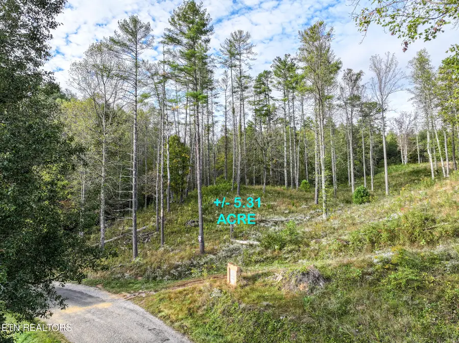 Long Branch Rd Off Rd, Del Rio, TN 37727 - #2