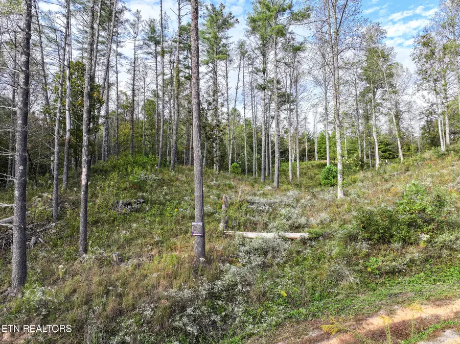 Long Branch Rd Off Rd, Del Rio, TN 37727 - #3