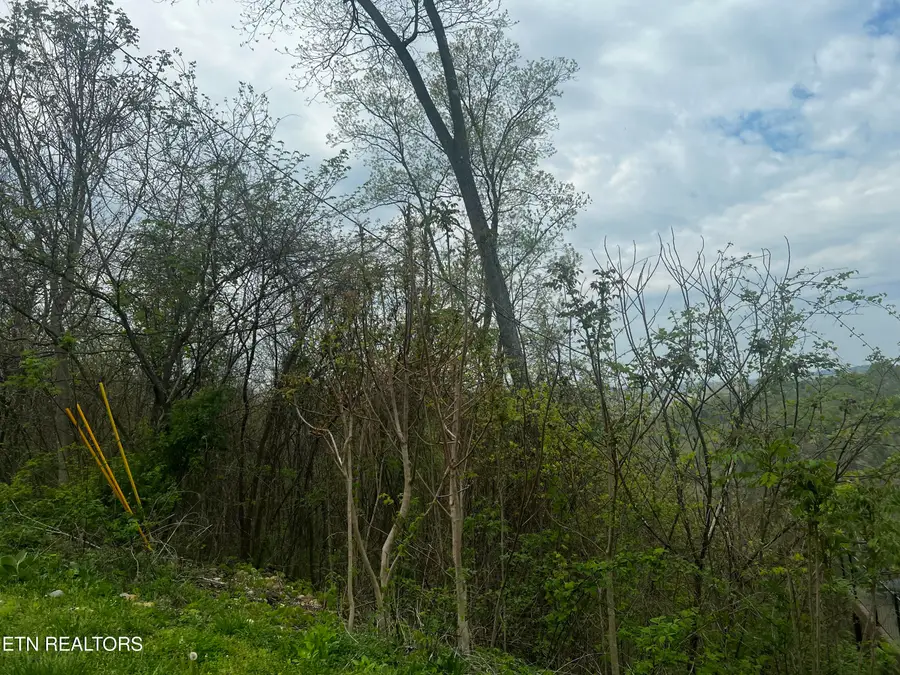 Lot 8 Hickory Pointe Lane, Maynardville, TN 37807 - #2