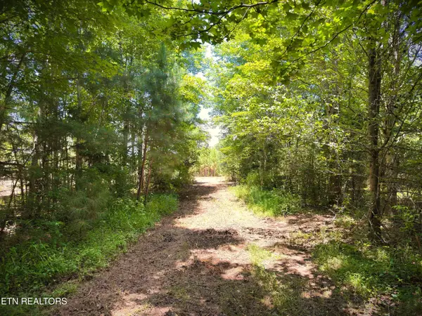 Marcrom Rd, Morrison, TN 37357