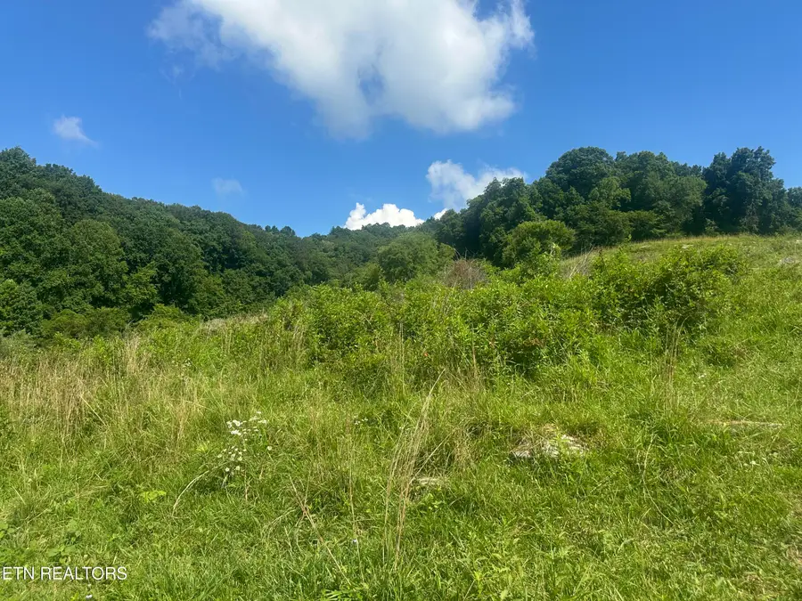 Cumberland Estates Road Rd, Cumberland Gap, TN 37724 - #2