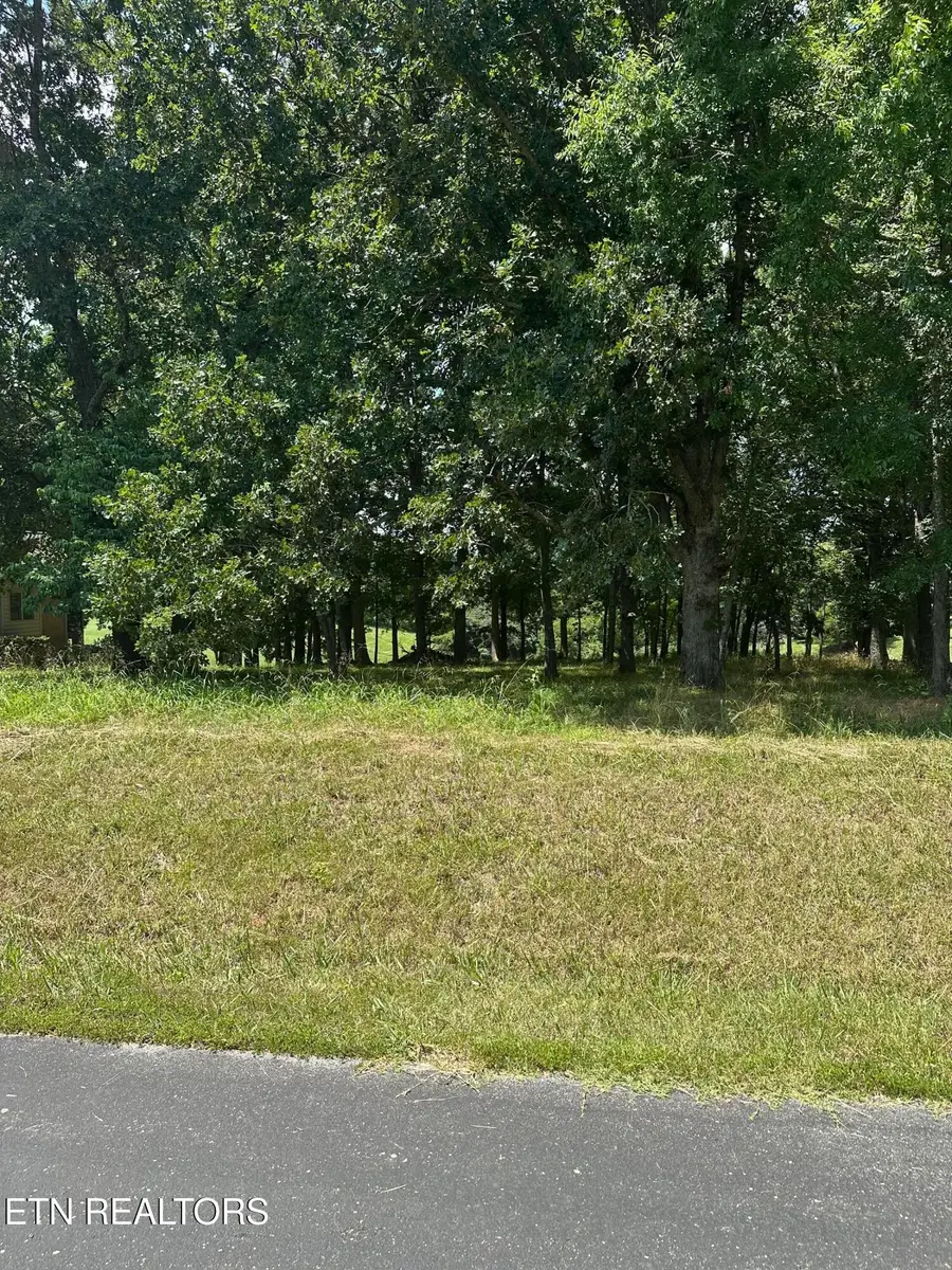 Walelu Trail Tr, Vonore, TN 37885 - #2