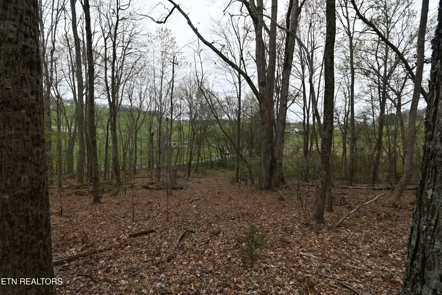 58.5 Acres Greenlee Rd, Rutledge, TN 37861 - #3