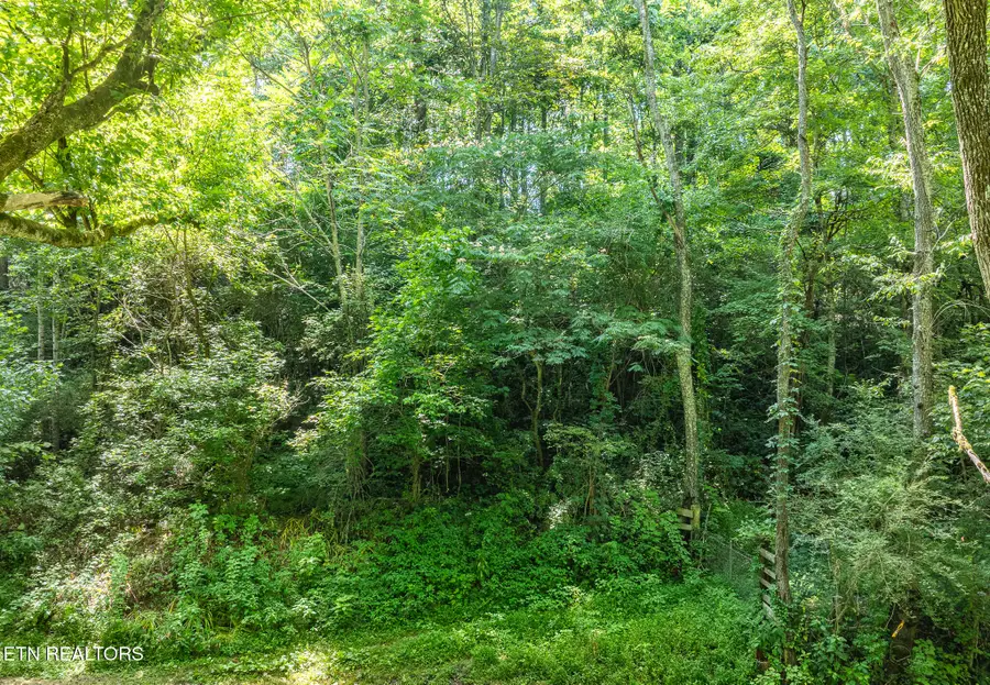 174 Old Ivey Hollow Rd, Lafollette, TN 37766 - #2