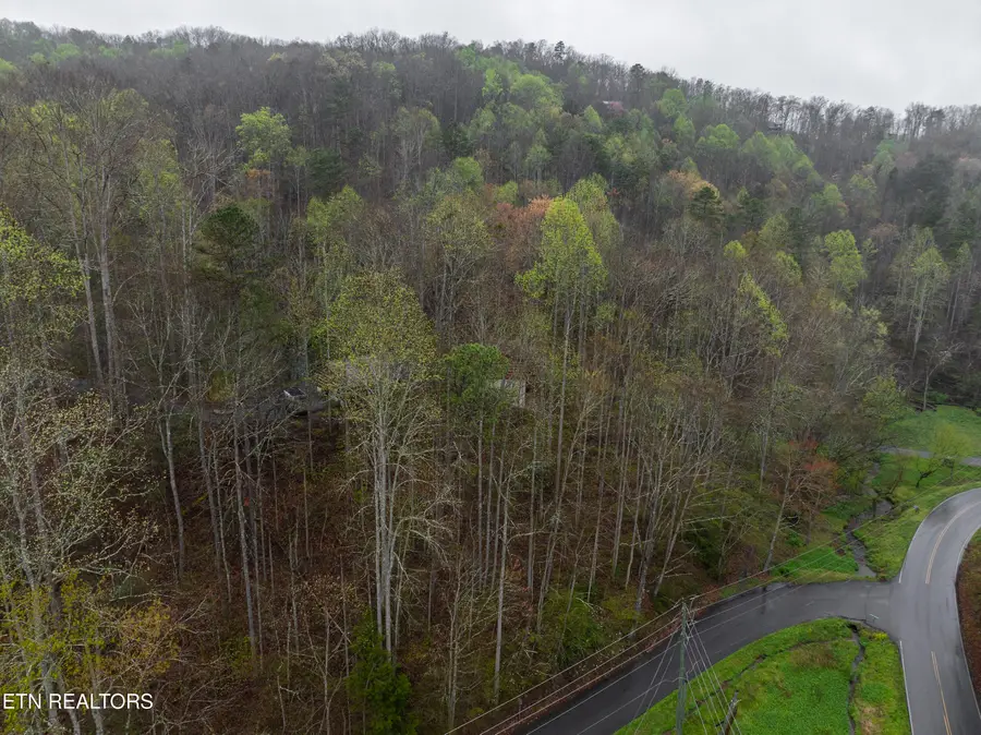 4130 Tro Way, Gatlinburg, TN 37738 - #2