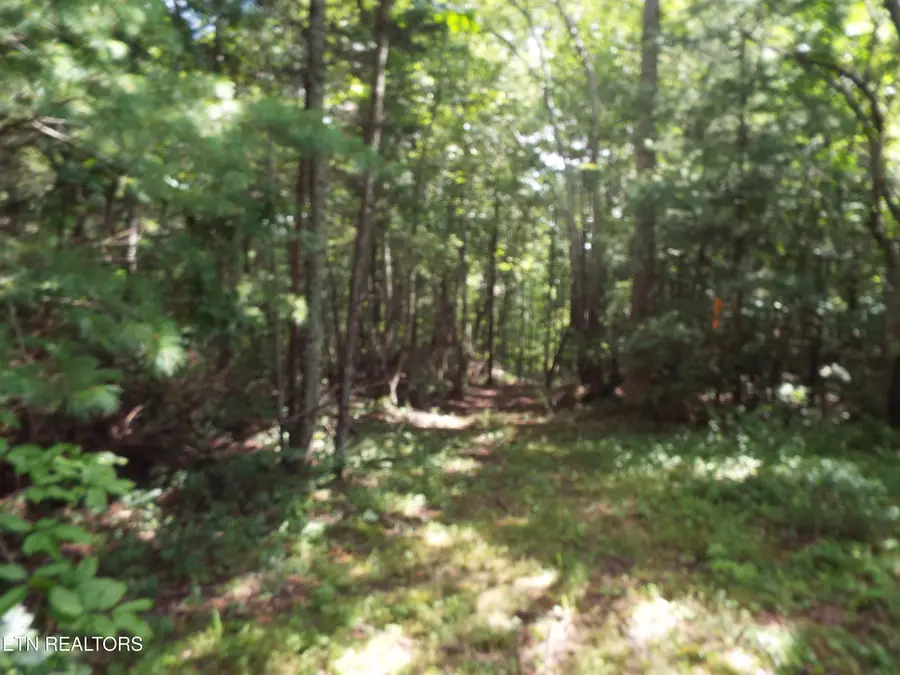 Bob Tollett Loop, Crossville, TN 38555 - #2