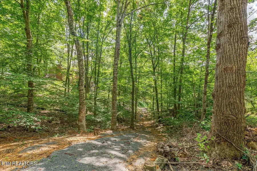 1901 Bootbluff Trail Tr, Dandridge, TN 37725 - #2