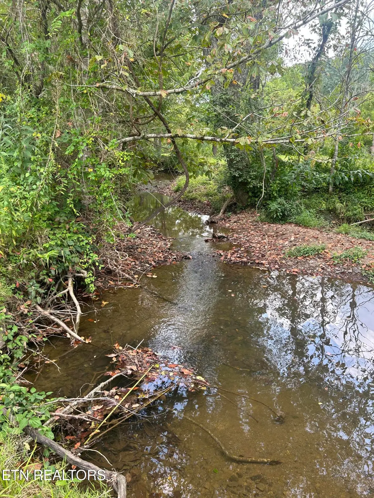 6116 Paint Rock Rd, Oneida, TN 37841 - #1