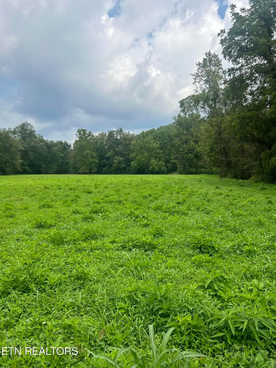 6116 Paint Rock Rd, Oneida, TN 37841 - #2