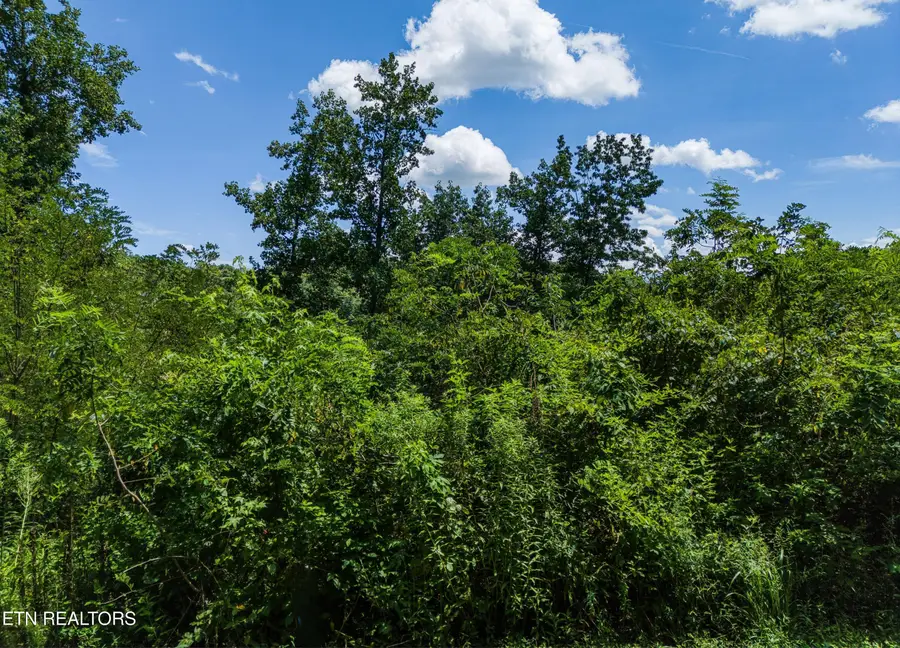 Lot 11 Sanctuary Shores Way, Sevierville, TN 37876 - #3