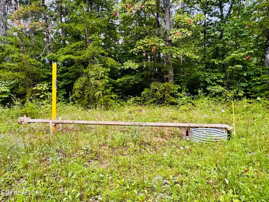 0 Collins Tpke, Deer Lodge, TN 37726 - #3