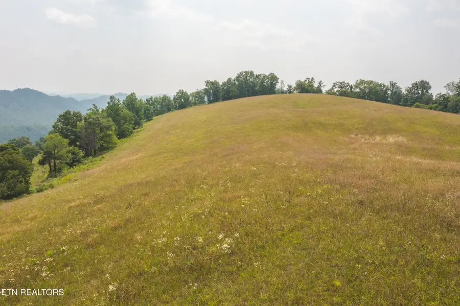 Lots 21&22 Big Springs Rd, Eidson, TN 37731 - #3