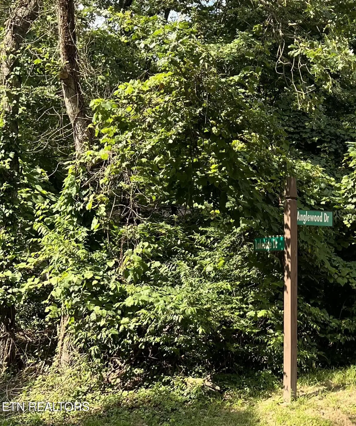 102 Lakeside Drive, Crossville, TN 38558 - #1