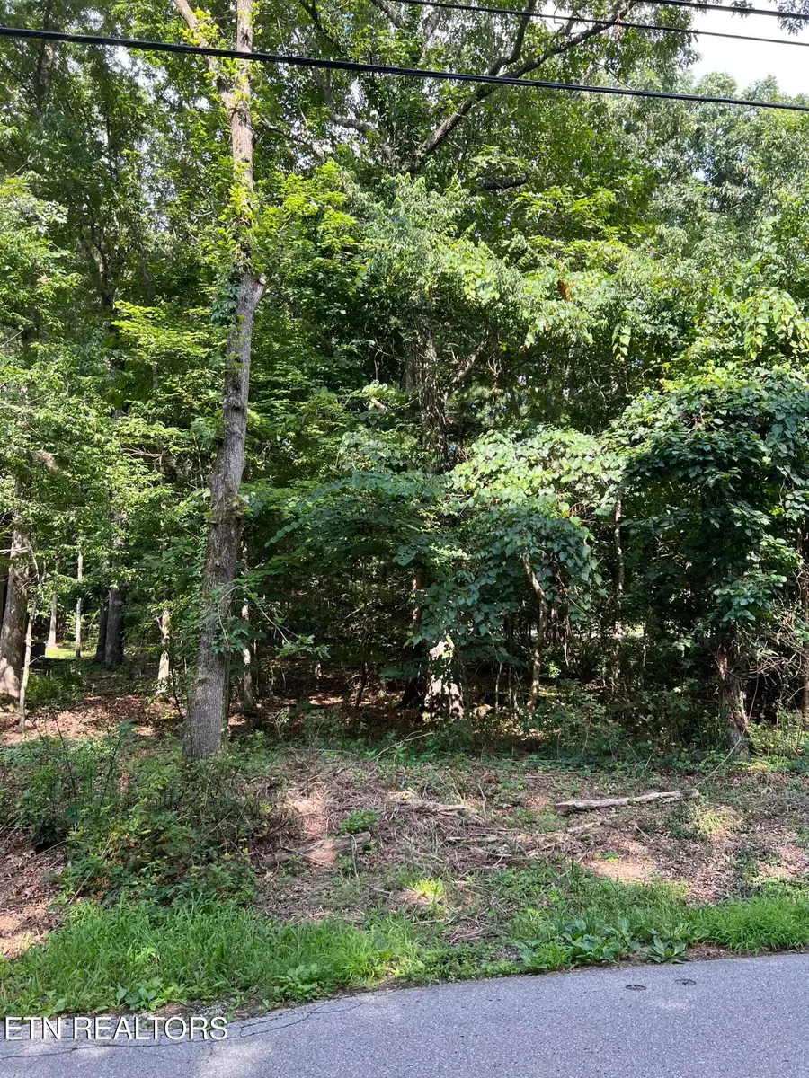 102 Lakeside Drive, Crossville, TN 38558 - #2