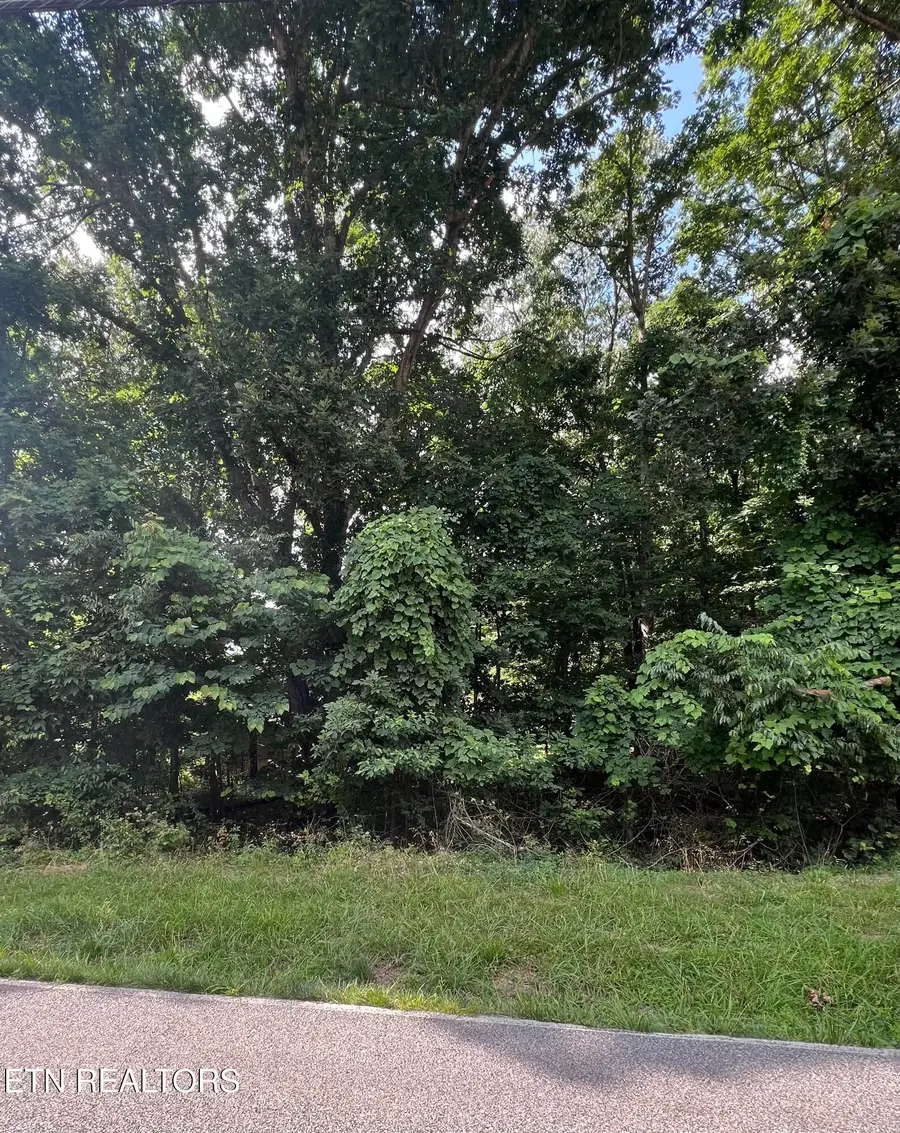 102 Lakeside Drive, Crossville, TN 38558 - #3