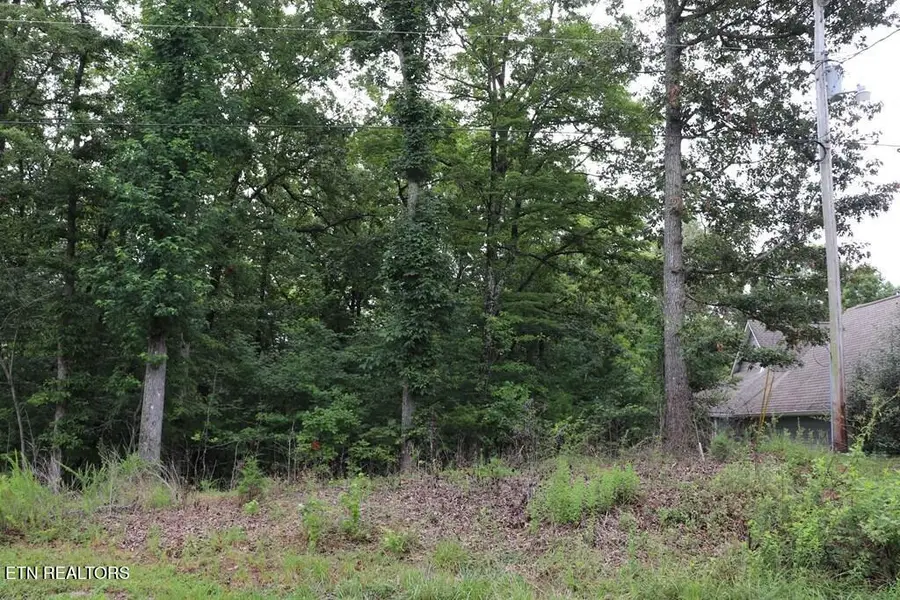 0 Moonlight Bay Drive, Sparta, TN 38583 - #3