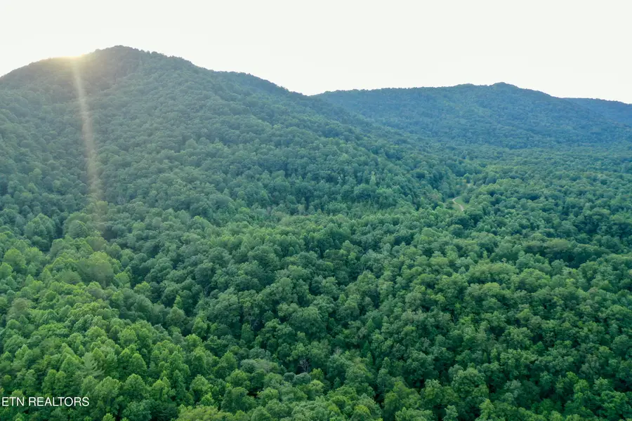 Smith Creek Rd, Winfield, TN 37892 - #2