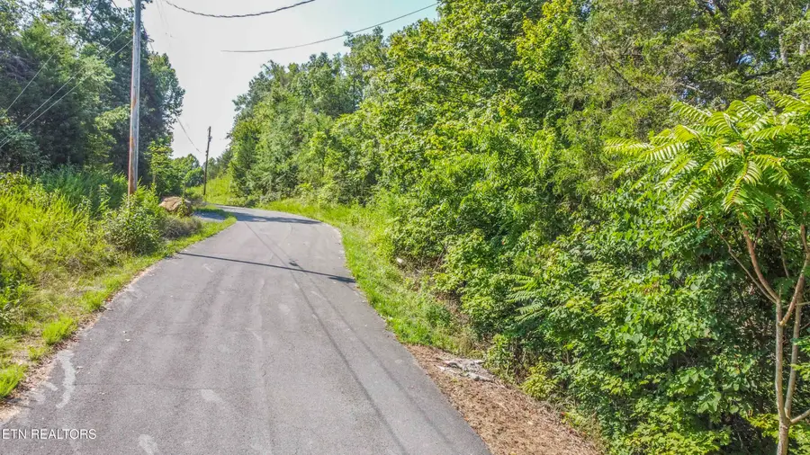 Fishtail Cove, Dandridge, TN 37725 - #3