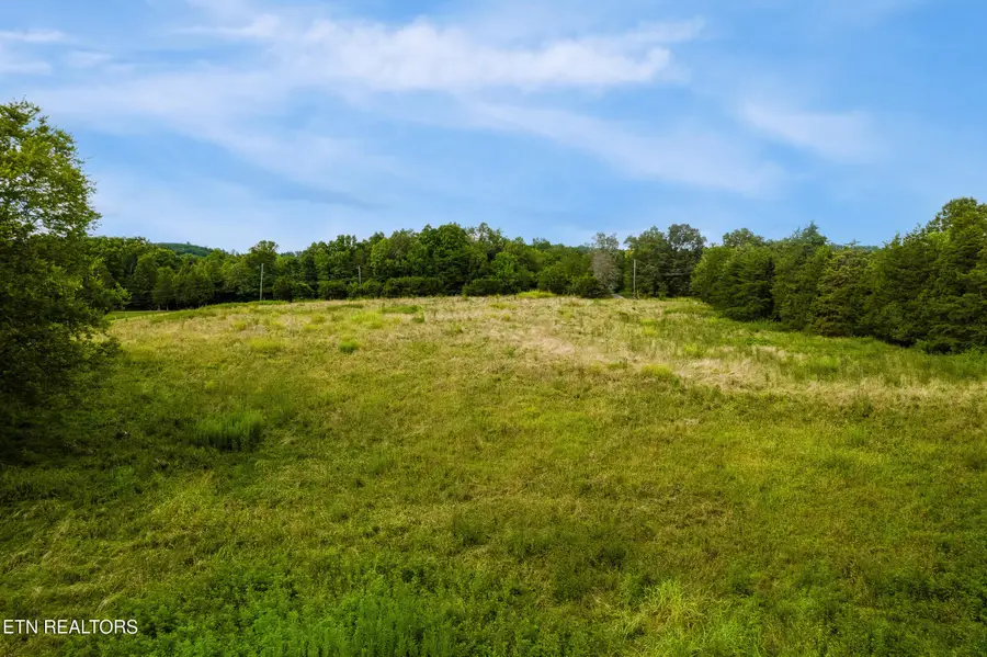 Alex Bales Rd, Kodak, TN 37764 - #2