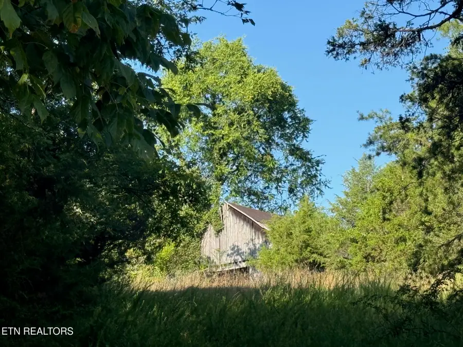 Alex Bales Rd, Kodak, TN 37764 - #3