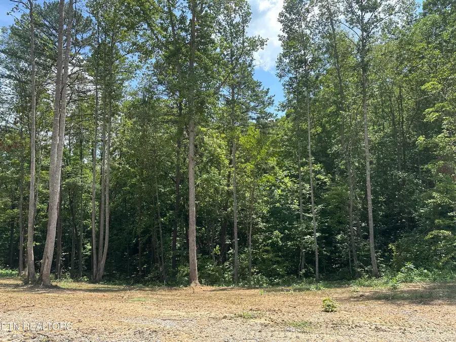 143 Elk Ridge Lane, Pioneer, TN 37847 - #3