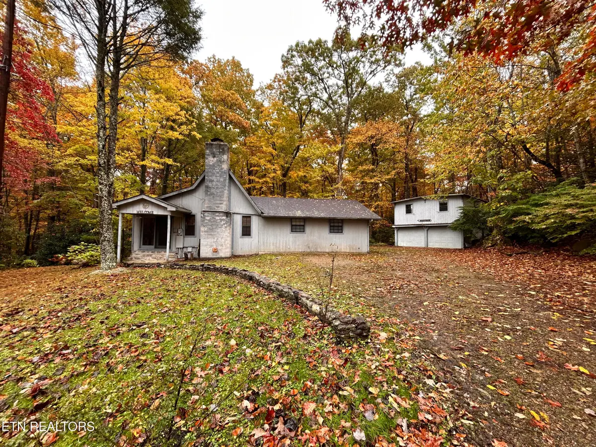 223 Greywolf Way, Cosby, TN 37722 - #1