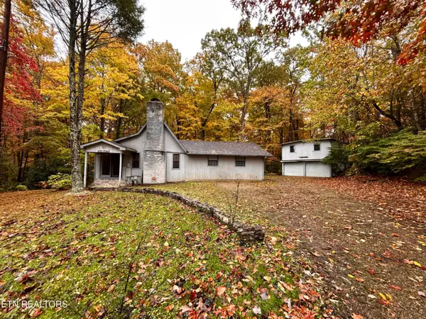 223 Greywolf Way, Cosby, TN 37722