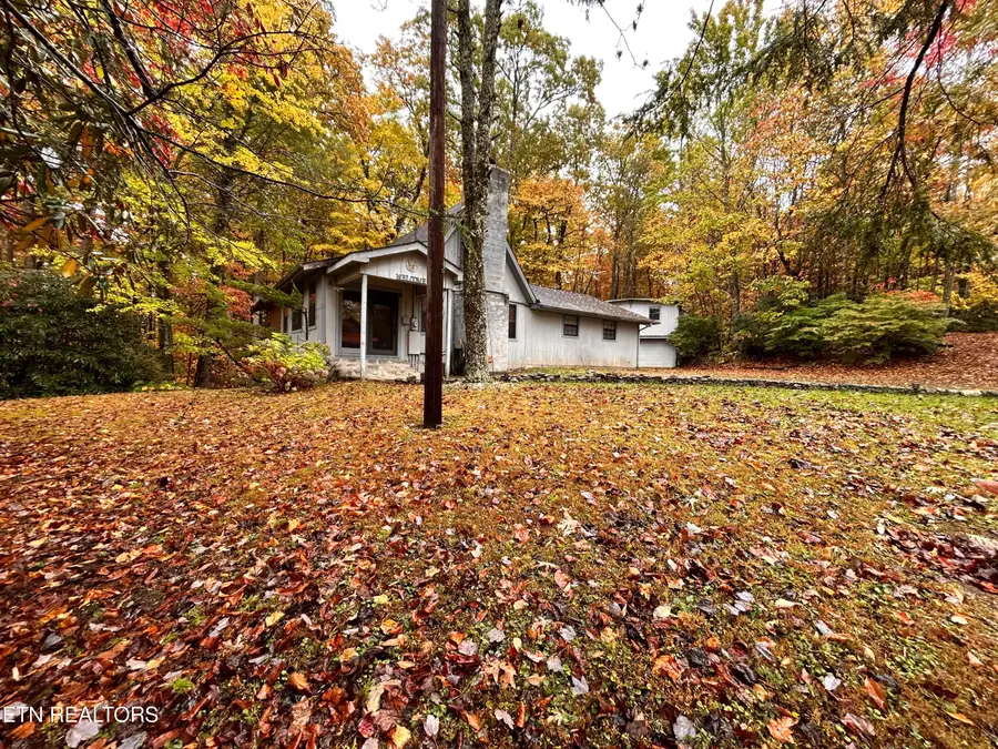 223 Greywolf Way, Cosby, TN 37722 - #3