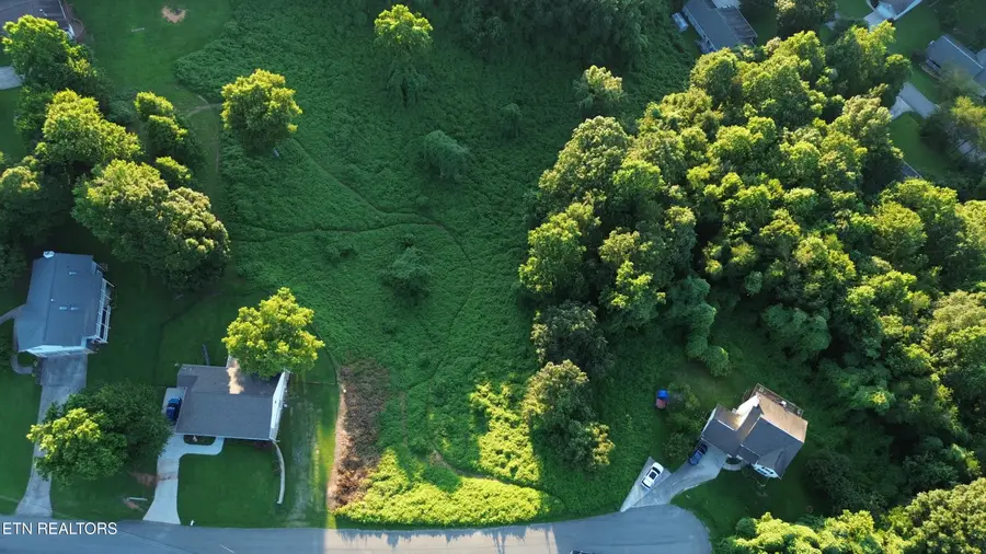 Lot 57 Matthew Lane, Dayton, TN 37321 - #2
